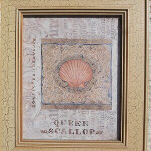 𝅺PIER 1 Shelley Hely Framed Seashell Lithograph Print